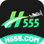 H555 Game