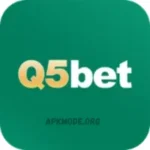 Q5Bet Game