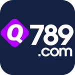 Q789 Game
