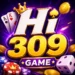HI309 Game